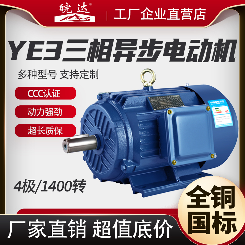国标大功率三相异步电动机
