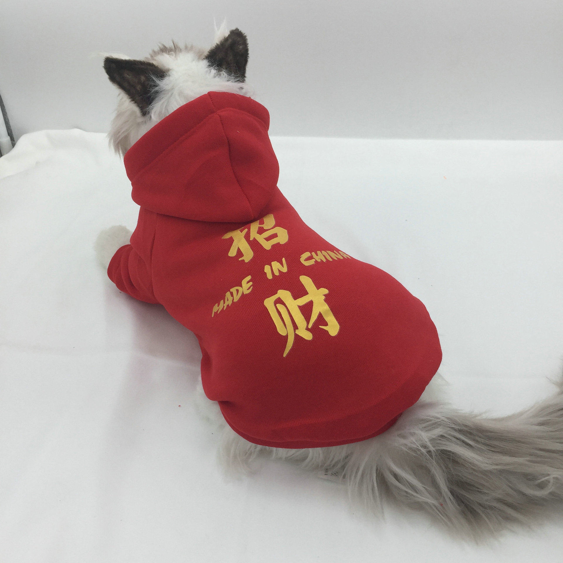 猫咪新年红色衣服冬季保暖过年喜庆布偶猫狗狗防掉毛小猫宠物幼猫