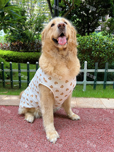 纯棉纱布大狗衣服夏季透气金毛拉布拉多大型犬背心宠物狗狗防掉毛