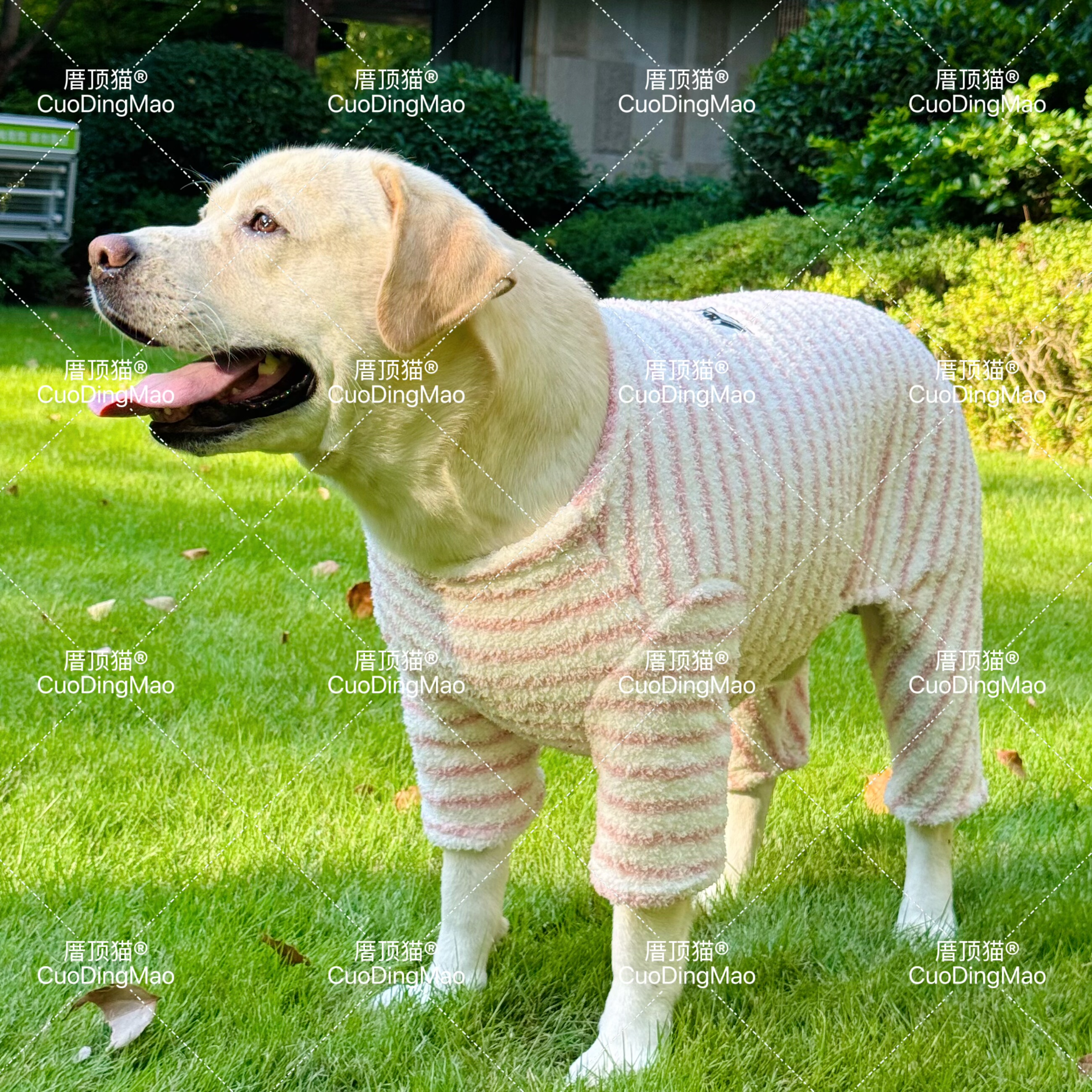 双面毛狗狗衣服秋冬款保暖四脚衣中大型犬金毛边牧萨摩耶宠物睡衣