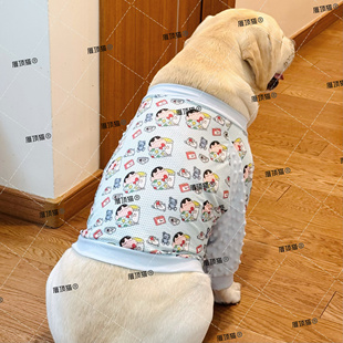 狗狗衣服拉布拉多金毛防掉大型犬肘关节短款护膝大狗可爱护肘服装