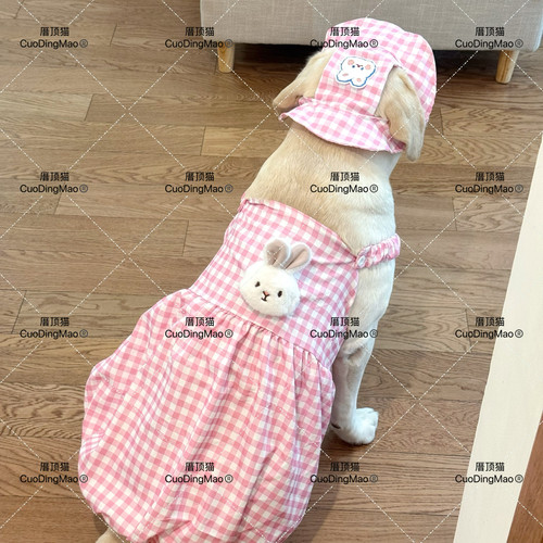 宠物大狗衣服夏季透气萨摩耶金毛边牧拉布拉多裙子中大型犬公主裙