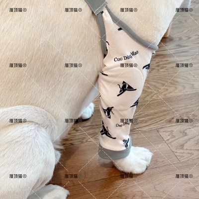 狗狗护肘衣服保护套金毛拉布拉多宠物防脏神器护膝外出四季通用潮