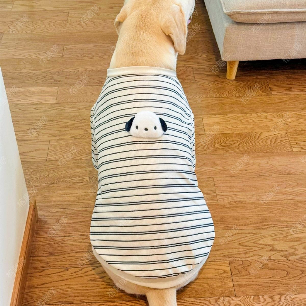 狗狗衣服秋季薄款条纹卫衣拉布拉多金毛萨摩耶中大型犬宠物保暖潮