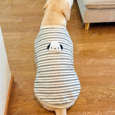 狗狗衣服秋季薄款条纹卫衣拉布拉多金毛萨摩耶中大型犬宠物保暖潮