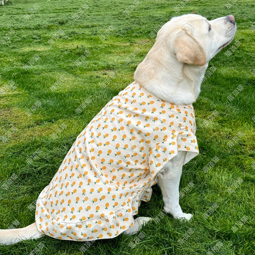 大型狗衣服狗狗夏天衣服狗狗裙子金毛边牧中大型犬宠物衣服