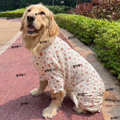 四脚空调衣服大型犬薄款透气大狗拉布拉多金毛萨摩耶宠物四腿服装