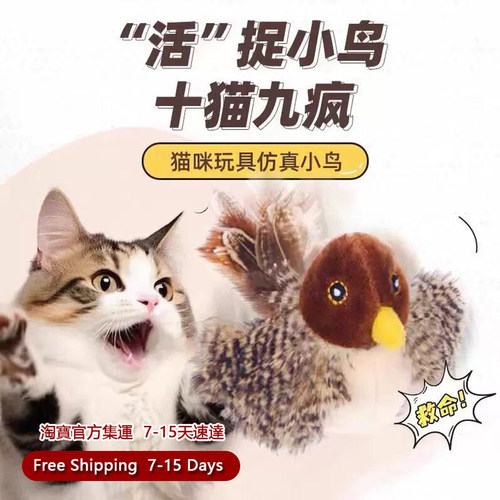CatToyFlappingWingsSparrow