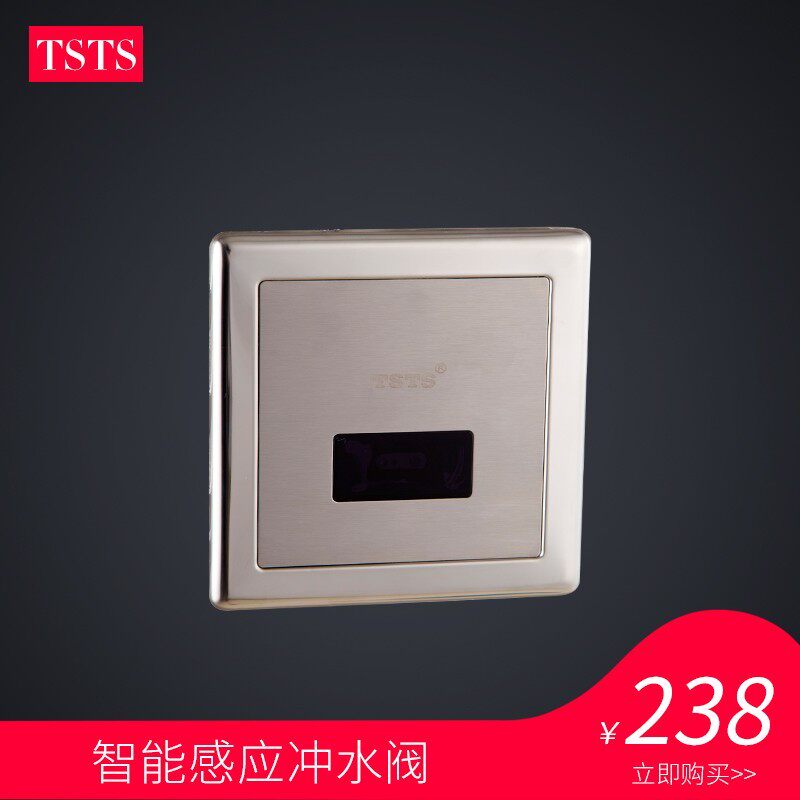 tsts 全铜全自动感应大便器 蹲便器冲水阀 冲洗器 暗装入墙式
