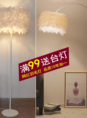 灯饰网红白色羽毛水晶立式落地灯客厅书房卧室床头台灯主播补光灯