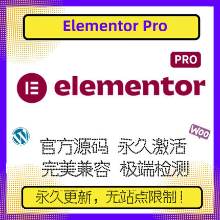 Elementor PRO插件 官方正版 WP编辑器 拖放式主题编辑器 高级版