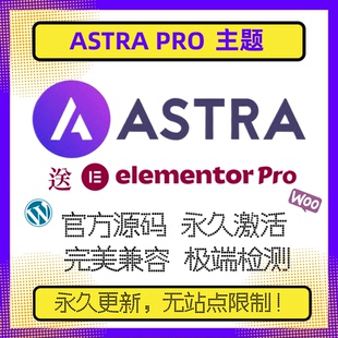 Astra PRO主题 Wordpress主题 永久授权 WP高级版主题 官方原版