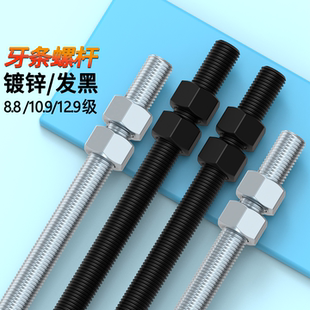 高强度螺杆丝杆螺母套装 全螺纹通丝杠螺杆牙条m8m10m12m16m20m24