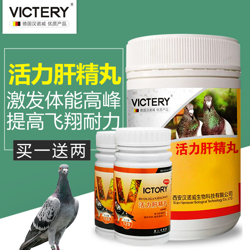 德国汉诺威鸽药【活力肝精丸】赛信鸽用品肝精丸幼种鸽鹦鹉鸽子药
