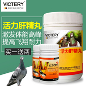 德国汉诺威鸽药 赛信鸽用品肝精丸幼种鸽鹦鹉鸽子药 活力肝精丸