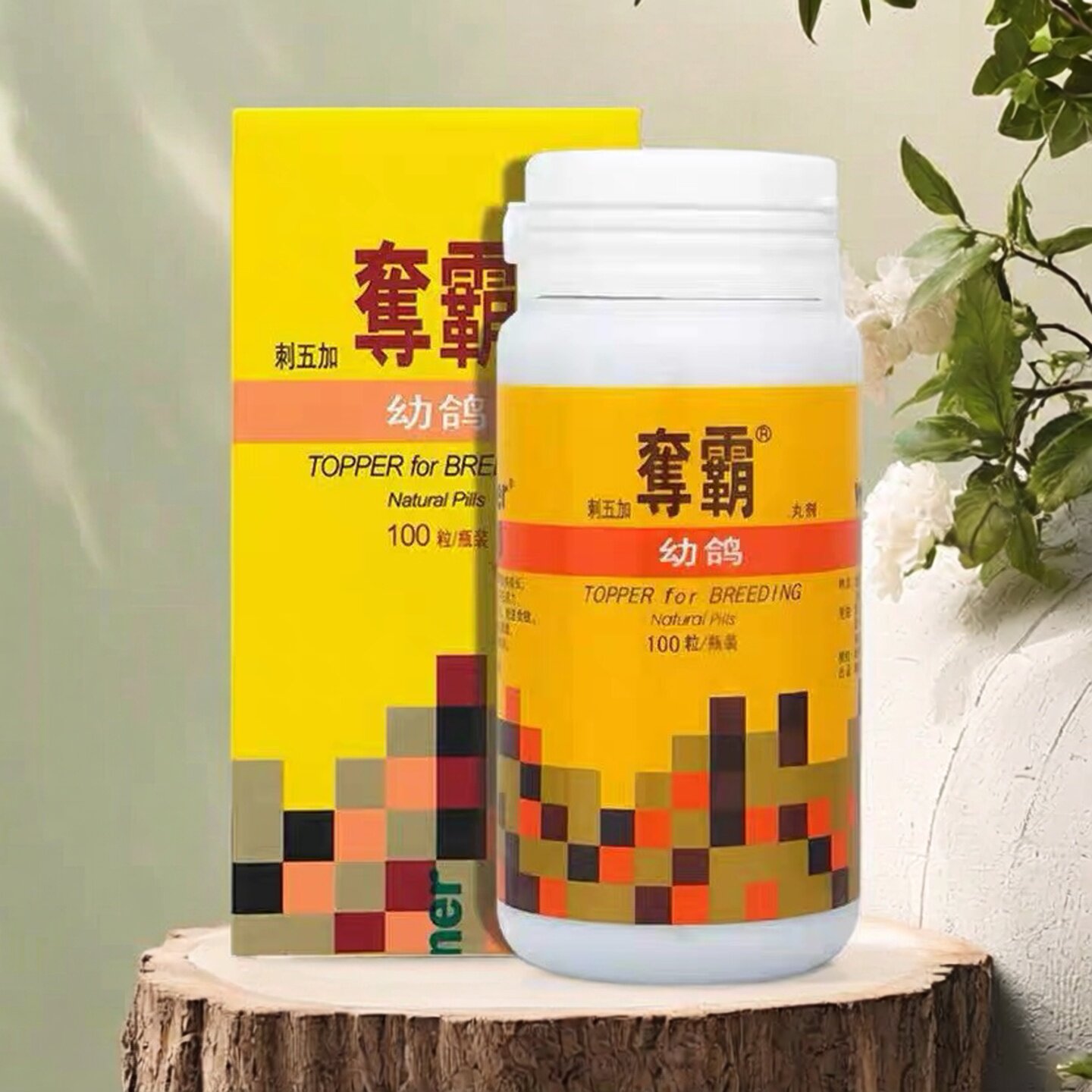 稳拿100丸育雏宝鸽子药鸽药