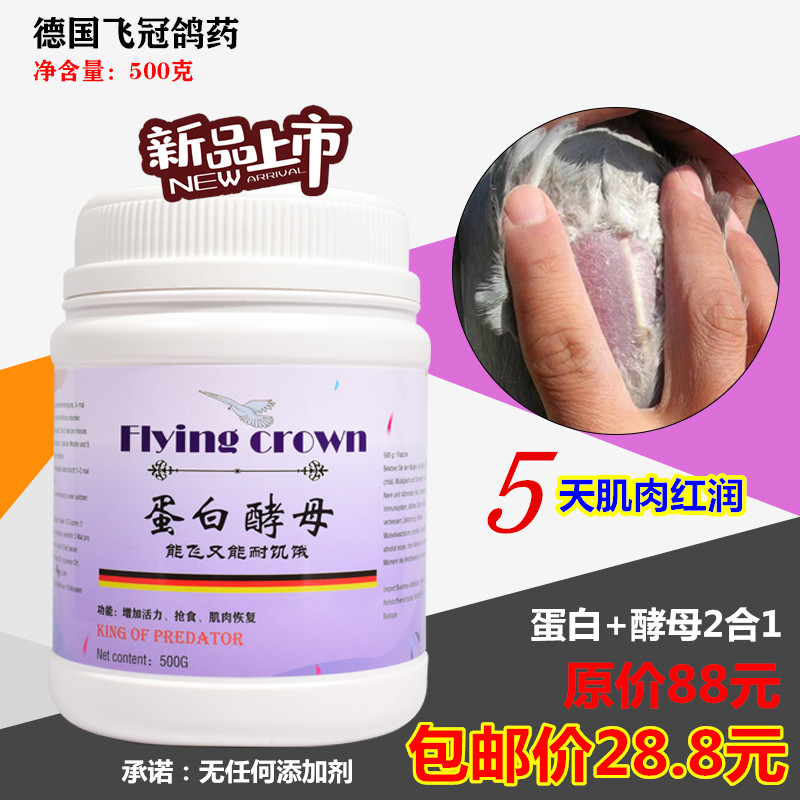 克赛鸽子消化补能量啤酒酵母鸽药