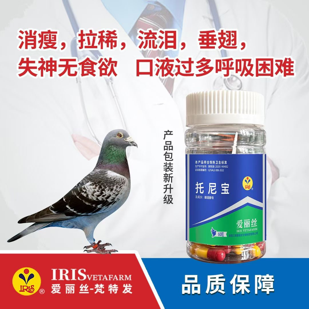 西安爱丽丝鸽药鸽子药品赛鸽拉稀甩食沙门氏爱丽丝托尼宝60粒胶囊