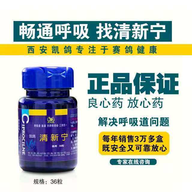 凯鸽鸽药【清新宁】胶囊36粒/呼吸道肠道衣原体三合一/凯鸽清新宁