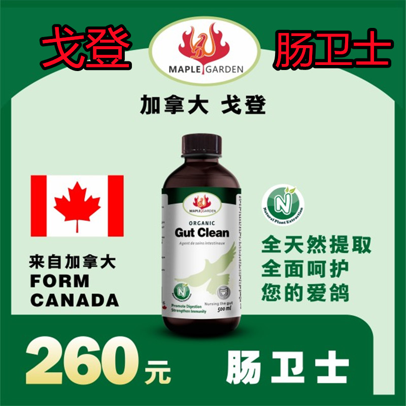 戈登【】/有力腸道保健鴿藥賽鴿