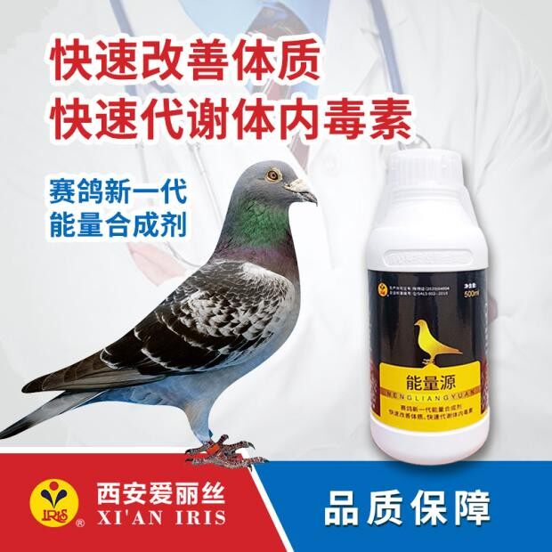 爱丽丝鸽药能量源500ml鸽子比赛补体能电解质氨基酸维他命精华液