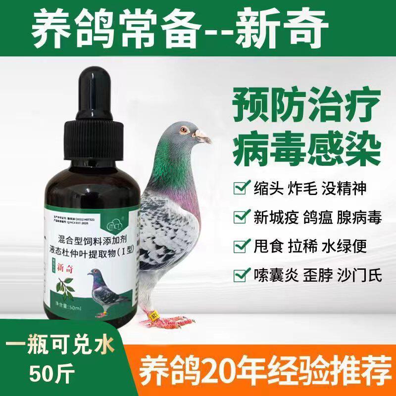 鸽病疑难新城疫腺病毒新奇