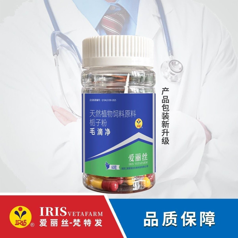西安爱丽丝鸽药毛滴虫60粒胶囊滴虫清口黄口腔白点爱丽丝毛滴虫净