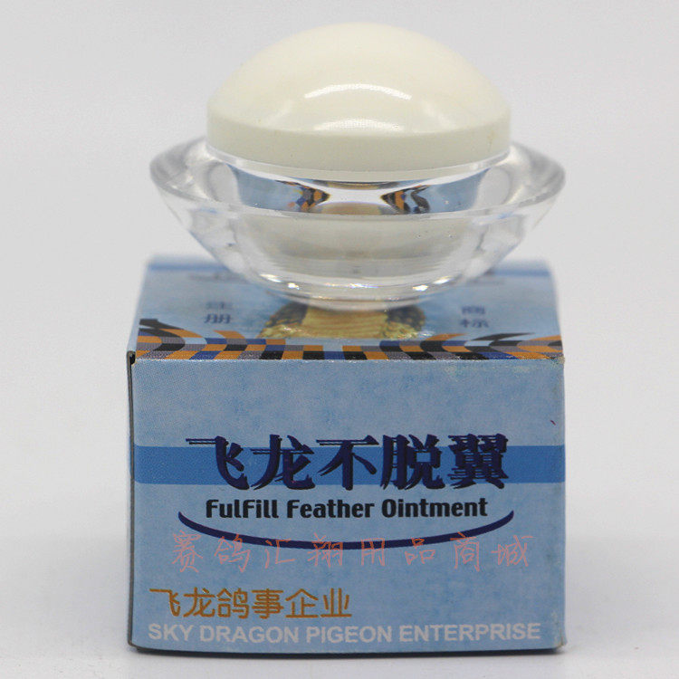 飞龙鸽药不脱翼鸽子药赛鸽的羽毛浓密完整参加比赛飞龙不脱翼