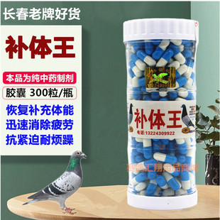 鸽子药【长春补体王】胶囊300粒/比赛补体能/耐力提速度/恢复体力