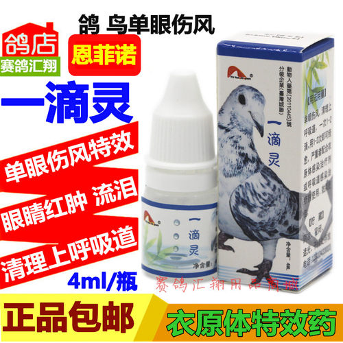 恩菲诺鸽药一滴灵4ml鸽子鹦鹉八哥鸟用单眼伤风恩菲诺1滴灵眼药水