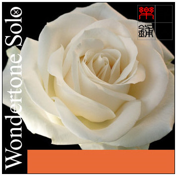 德国进口 pirastro白玫瑰 小提琴琴弦  套弦及单弦 e弦球尾/环尾