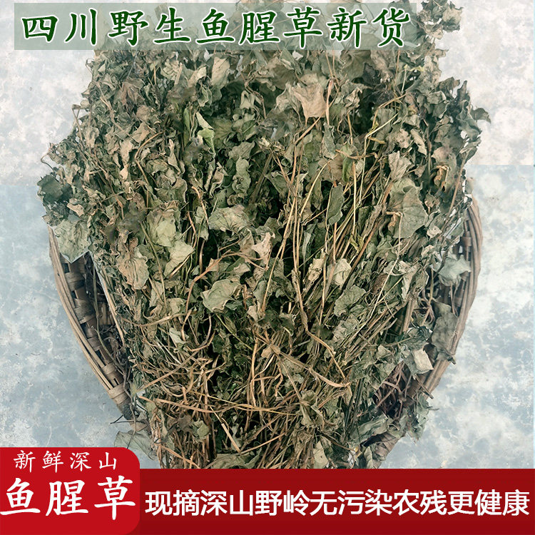 四川野生鱼腥草晒干中草药新货