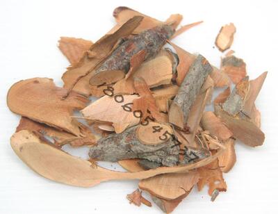 纯野生中青草药材干货 滑滑籽根 滑滑子根 纯根干货 250克 包邮