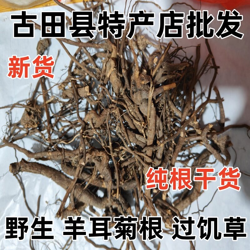野生羊耳菊根 白面风 白牛胆 毛柴胡 山白芷 羊耳风 干货250g包邮