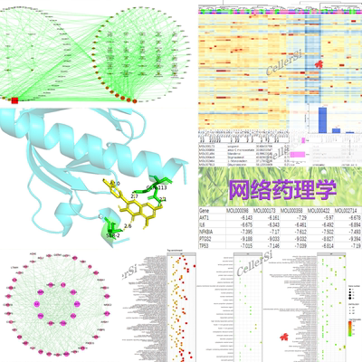 网络药理分析中药复方成分靶点机制分子对接TCMSP多数据库GEO加急