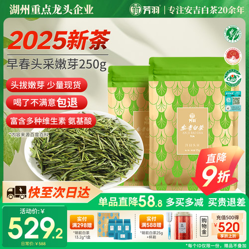芳羽头采安吉白茶250g