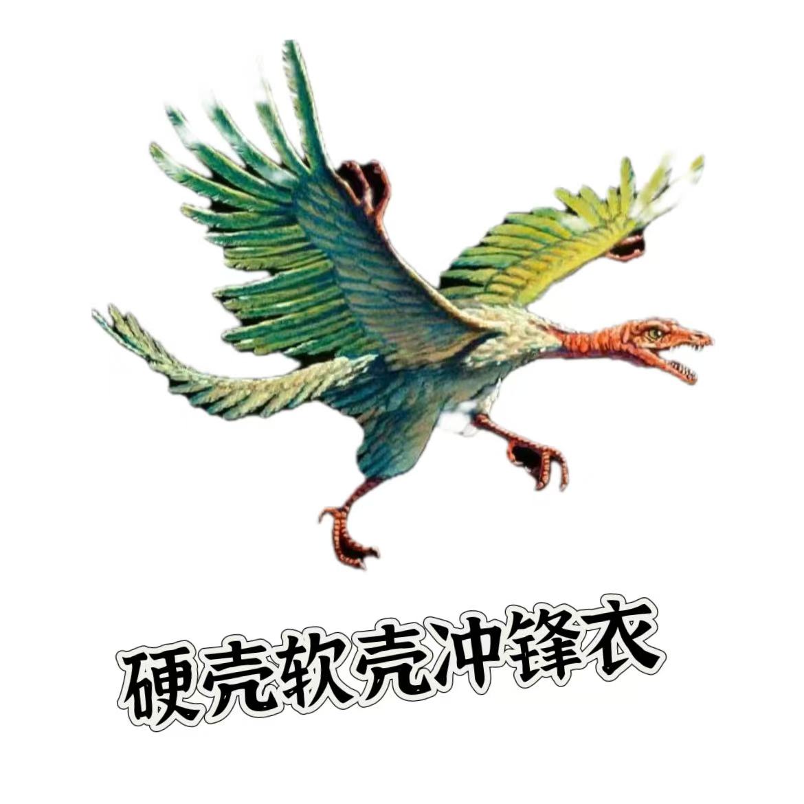 克罗家开衫卫衣外套男冬T恤梵文