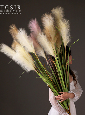 北欧高枝芦苇彷真花摆设室内客厅落地大号装饰绿植物假花狗尾巴草