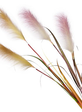 落地客厅高枝芦苇装饰仿真花假花