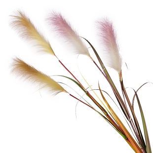 北欧高枝芦苇仿真花摆设室内客厅落地大号装饰绿植物假花狗尾巴草