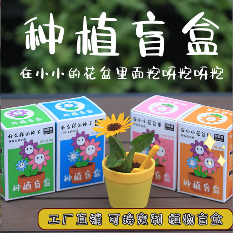 室内儿童种植盆栽盲盒 挖呀挖创意植物Diy小盆栽 幼儿园六一礼物,鲜花速递/花卉仿真/绿植园艺,草头娃娃,淘宝优惠券,粉丝福利购,淘宝优惠卷