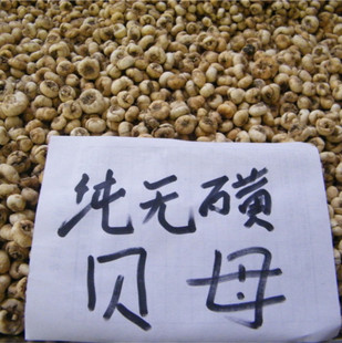纯正东北平贝母无硫无污染免费打粉100克