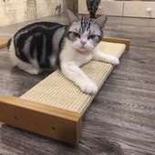 SmartCat猫抓板磨爪器天然剑麻猫抓垫猫咪玩具环保耐磨猫咪沙发床