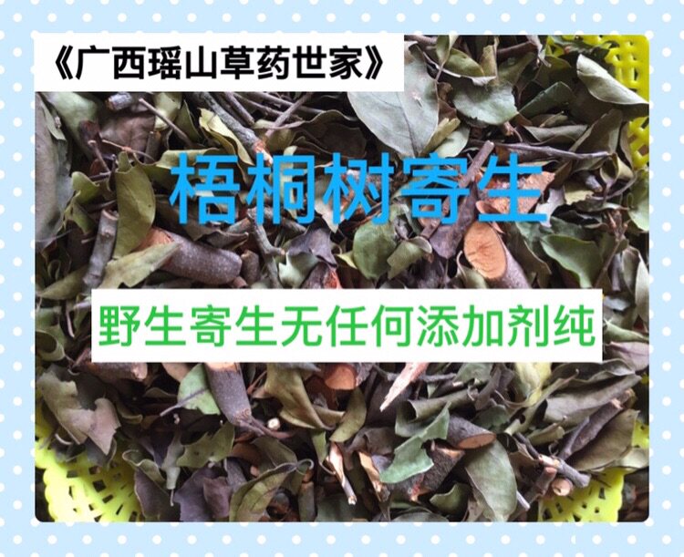 桐油树寄生梧桐树寄生青铜树寄生桐麻树寄生梧树寄生干品500g