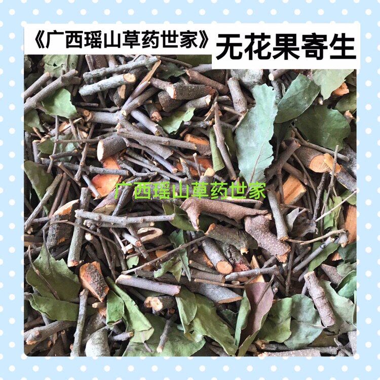 牛奶木寄生 无花果寄生 名目果寄生 映日果寄生干品500g包邮