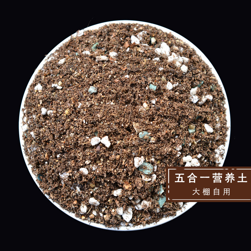 多肉植物营养土花肥料种花土通用种菜种植土多肉专用土壤草炭土