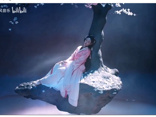 采薇舞蹈服 汉服一梦惊鸿王亚彬同款 新款 古典舞古风舞蹈演出服水袖