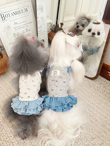 碎花牛仔飞袖蛋糕裙吊带公主可爱日韩米法亚宠物猫狗衣服春夏薄款