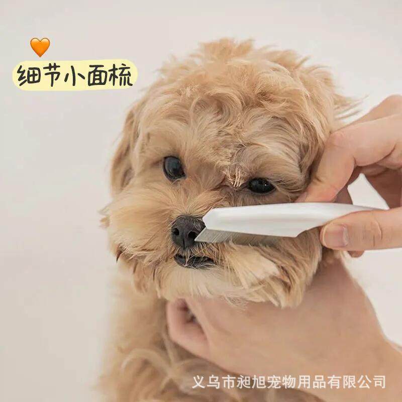 猫狗梳子排梳长毛专用细节小面梳宠物美容梳毛神器,宠物/宠物食品及用品,猫狗梳子/排梳,淘宝优惠券,粉丝福利购,淘宝优惠卷