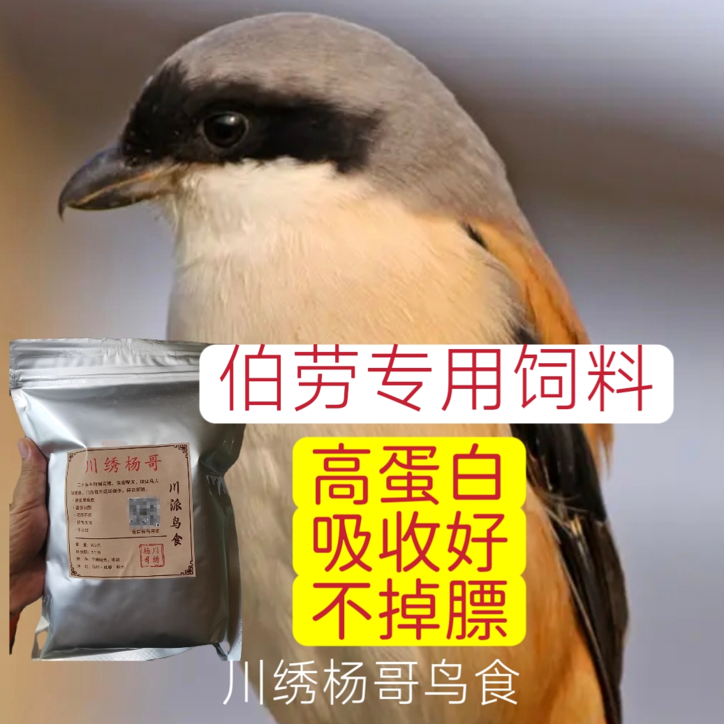 伯劳白鸟食鸟粮手工秘制提性亮毛壮膘开唱颗粒饲料500克川绣杨哥